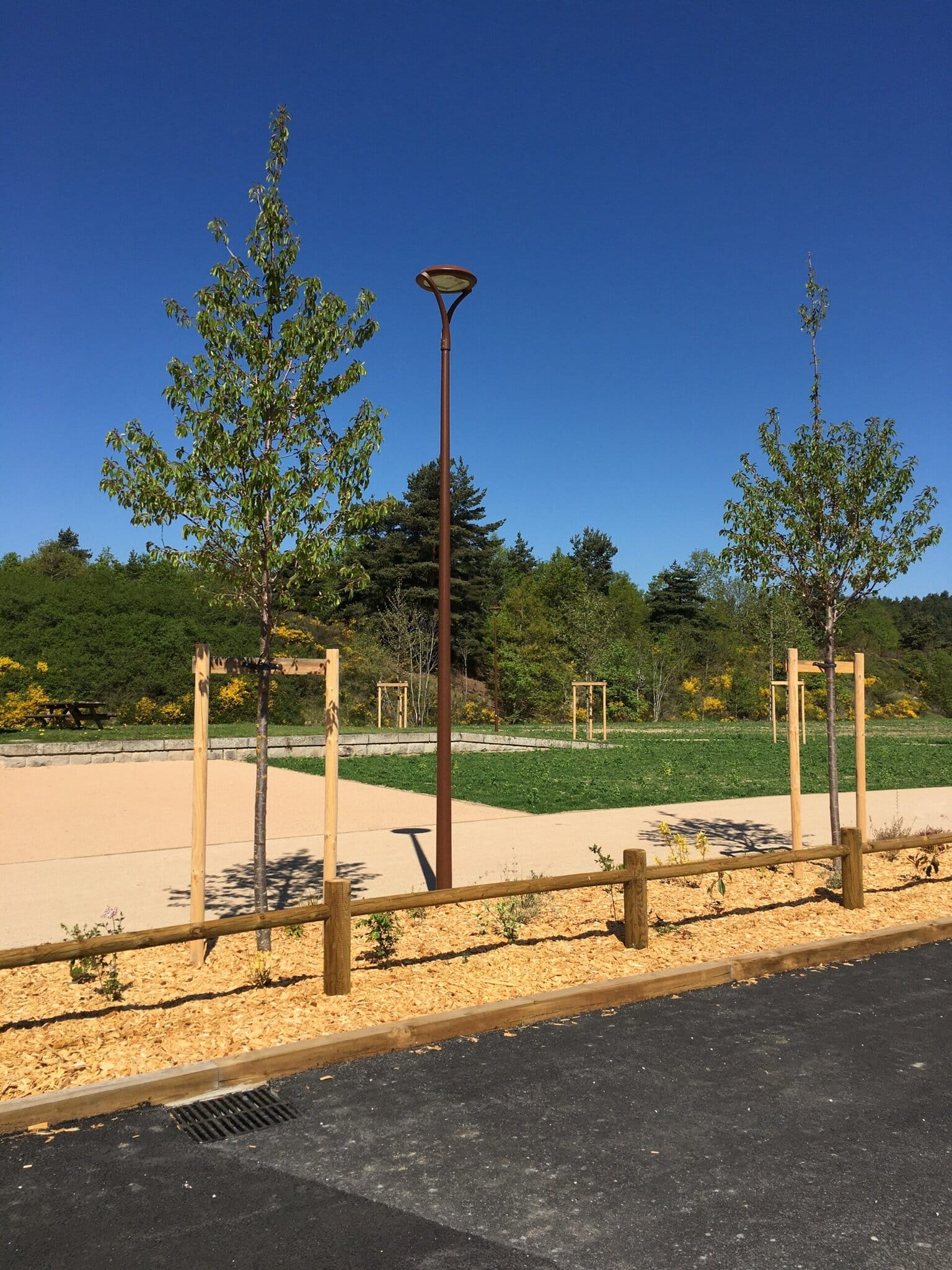 A paved path bordered by young trees and mulch, a wooden fence, a streetlamp, and grassy areas under a clear blue sky.